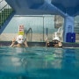 물 무서워하는 사람의 프리다이빙 체험 수업 후기ㅣ선데이프리다이빙 강추