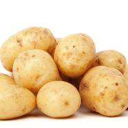 소화 및 장건강에 좋은 감자 성분 효능 고르는법 보관법 알아보기