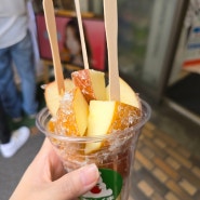 ♡교토 오사카 여행♡ 6일 ♡ 오사카이동 당고 사과탕후루 드럭스토어 돈키호테 쇼핑목록