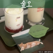 수유 우이천 카페 숲오 고양이가 있는 덕성여대 카페