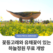 2024 인천공항 하늘정원 무료 개방! 꽃등고래💐🐋, 유채꽃 보러 오세요!