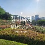 경기 부천 도당공원 장미공원 장미동산 봄나들이 장미축제
