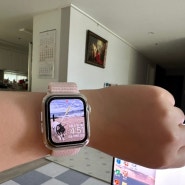 애플워치로 커플템 업글!(+Apple Watch SE, Apple Watch Ultra2)