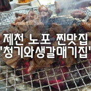 밑반찬조차 맛있는 제천 노포맛집 '청기와생갈매기식당'