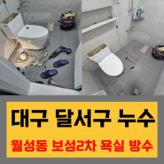 대구 달서구누수 월성동 보성 2차 욕실 누수 해결