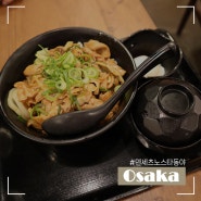 오사카 요도바시카메라 덴세츠노스타동야 덮밥
