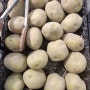 감자 품종 종류 5가지와 감자 철 정리 점질 감자 분질 감자 차이