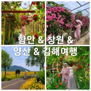 5월 여행 : 여행일 2024년 5월 26일 : 함안 & 창원 & 양산 & 김해
