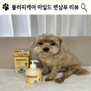강아지 샴푸 플러피 케어 마일드 올인원 샴푸 사용 후기