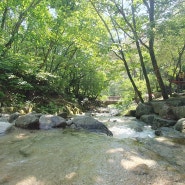 강원도 계곡 캠핑장 : 춘천여행 용화산자연휴양림 305번 계곡명당 물놀이 여름캠핑장