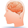 뇌종양 뜻 양성 악성 원인 증상 진단 치료 재발 정보