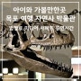 아이와 가볼만한곳 목포 여행 자연사박물관 추천 입장료 운영시간 미디어파사드 공연시간 정보