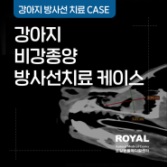 [로얄동물메디컬센터] 강아지 비강종양 방사선 치료 케이스_박철 치과원장·줄기세포치료센터장