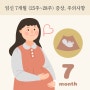 임신 중기 7개월 (25~28주) 증상, 주의사항