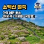 소백산 가장 예쁜 철쭉 등산코스, 비로봉, 국망봉 개화상황