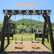 제주 붉은오름자연휴양림 예약 캠핑 야영장 숙박시설 목재체험장까지 정리