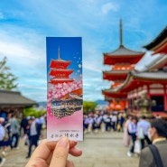 첫 해외여행준비물 체크리스트 일본 유심칩 돼지코 해외여행어플 말톡나우