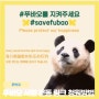 푸바오 학대 근황 푸바오 서명 운동 청원 링크 참여방법 #SaveFubao 푸바오를 지켜주세요