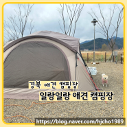 경북 칠곡 애견 캠핑장 일랑일랑 애견캠핑 앤 카라반 애견동반 여행