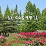 서울 근교 여행 가볼만한곳 일산 호수공원 장미