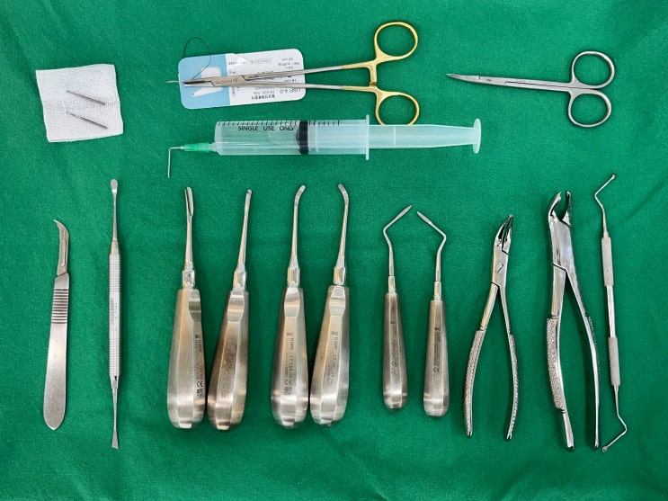 매복치 발치 (Impacted Tooth Extraction) : 네이버 블로그