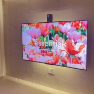 찐 내돈내산 이스트라 쿠카 75인치 미니LED TV!! 일반인시점 리뷰