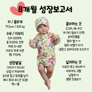 #9 육아일기 8개월 아기 이유식, 수유량, 수면시간, 장난감, 발달과정, 특이사항