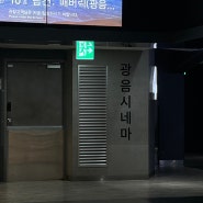 롯데시네마 홍대입구 광음시네마 [탑건 메버릭] 후기