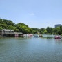 일본 나고야여행 3일차 - 히가시야마동물원 그리고 포켓몬센터