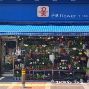 산본꽃집 중심상가 꽃집은 군포플라워