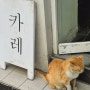 [진주] 시외버스터미널 근처 맛집 '카레카오리' 방문 후기