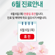 송파구 서울석병원 6월 휴진 안내