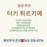 터키 튀르키예 아시아나 일주9일 패키지 /HILTON 3박/고속열차탑승 [출발 확정]