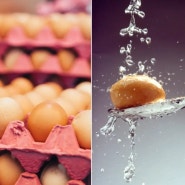 [건강먹방] “달걀 물로 씻어야 하나?”…올바른 보관법은 달걀 물에 씻으면 오염 물질 노출 위험 높아...뾰족한 부분을 아래로 냉장고 안쪽에 보관