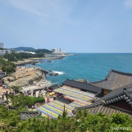 5월 4주 : ) 한국에서 가장 아름다운 절 기장 '해동 용궁사', '용궁 해물칼국수'