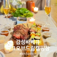 대전 근교 감성 캠핑장, 파크오브드림에서 감성 바베큐와 함께한 로맨틱 캠핑