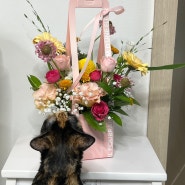 색감이 예쁜 아산꽃다발 용화동 꽃집 ‘퀸플라워’ 추천