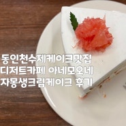 동인천수제케이크맛집 자몽생크림케이크가 맛있는 아네모오네