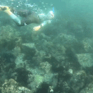 서귀포 자구리 정방폭포앞 즐거운 바다수영