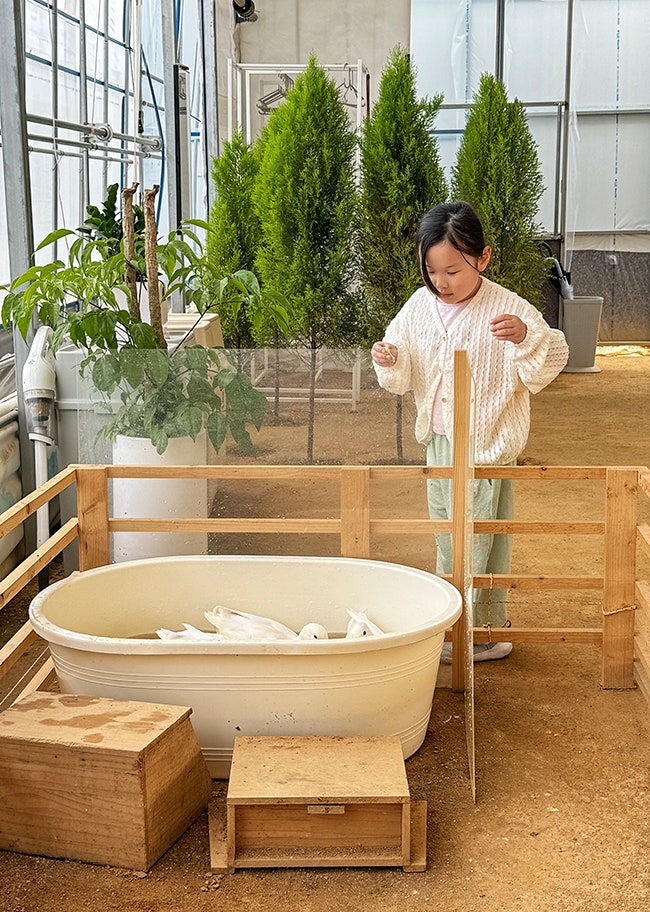 용인 무럭무럭농장 -  아기랑 갈만한곳 / 동물먹이체험