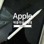 Apple 애플펜슬 2세대 역시 정품이 최고인듯
