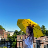카르페디엠 우산 봄여름 쿠팡 경량우산으로 비 오는 날 대비