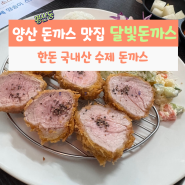 양산 돈까스 맛집 평산동 달빛돈까스 한돈 국내산 수제돈까스