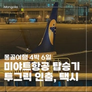 [몽골여행/고비사막] 1일차 :: 몽골 미야트MIAT항공 인천-울란바토르(OM7308) 탑승후기 및 기내식 | 몽골 공항 투그릭 ATM 인출 | 울란바토르 공항-시내 오가는 방법