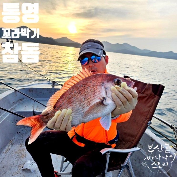 통영 참돔 선상낚시 선외기 참돔사이즈 좋다 : 네이버 블로그