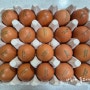 올팜 두번째 수확 성공! 무항생제 계란 20알 득템 (올팜수확 무료작물 종류)