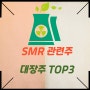 소형원자로 SMR 관련주 대장주 TOP3