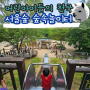 어린아이들의 천국 서울숲 숲속놀이터 탐방(주차 정보)