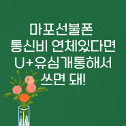 마포선불폰 통신비 연체있다면 U+유심 개통해서 쓰면 돼!