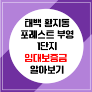 [강원 태백] 황지동 포레스트 애시앙 1단지 24평형 신규입주가능!